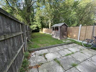 Picture 18